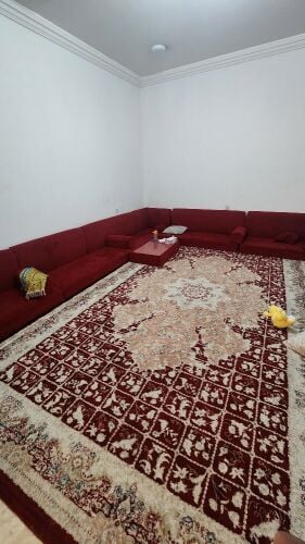 مجلس