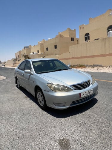 صبغ تجميلي فقط 3حدث بصيط 