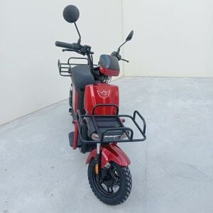 DELIVERY MONSTER WINDHORSE M4
