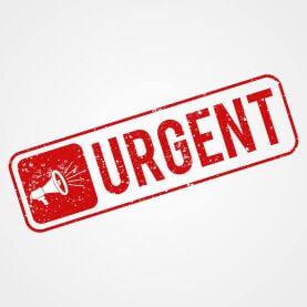sticker/ PPF tinting installer 