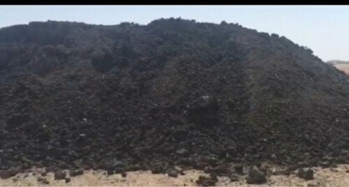 سماد عضوي