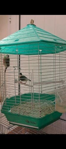 2Java Sparrow