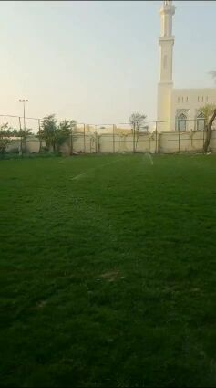 عمل ملاعب بالعشب الاخضر