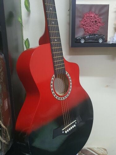 Acoustic Guitar (perfect condition)