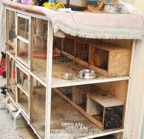 Cage for sale (Double step)