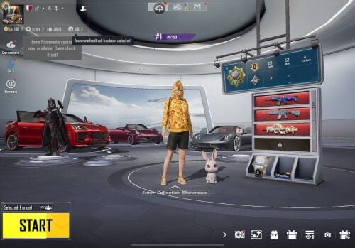 PUBG ACC BAPE SET