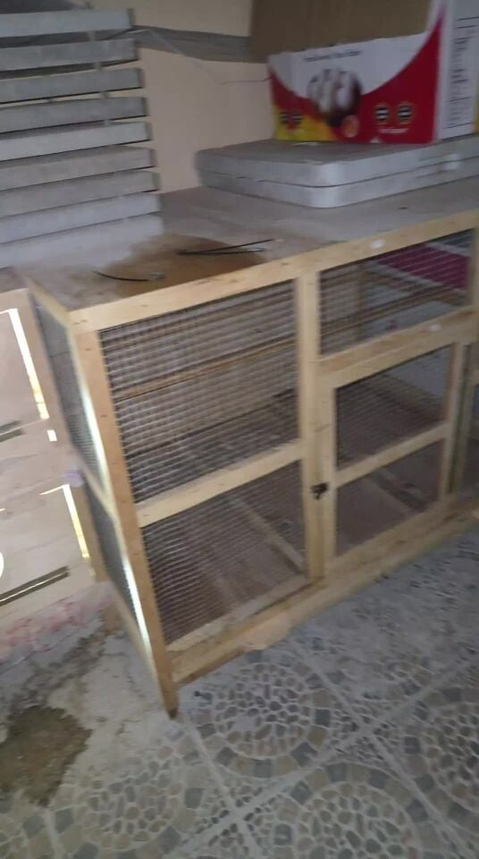 chicken cage