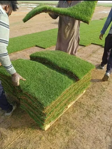 الزراعه والطين والري والصيانه