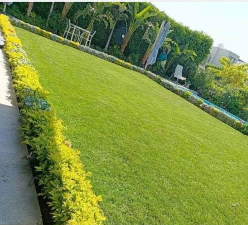 حدائق 