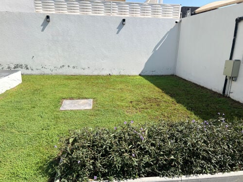 Garden & Lawn Maintenance Service