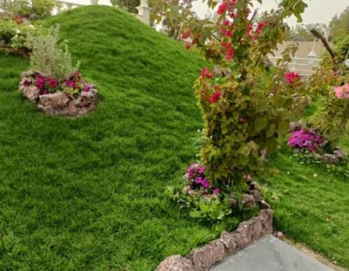 Agriculture /Gardening /Decoratio