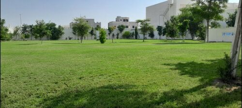 الحدائق 