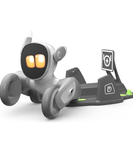 Loona Robot 
