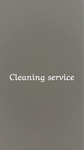  Cleaners