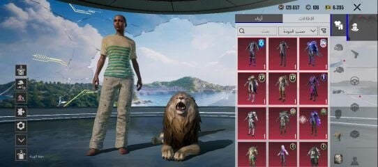 PUBG account