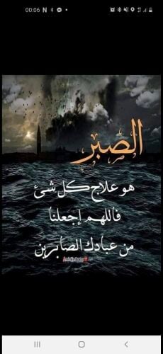 محمد عرفات