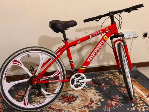 Bicycle in excellent condition