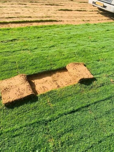 زراعة الملاعب ت٥٥٧٤٤٣٦٣