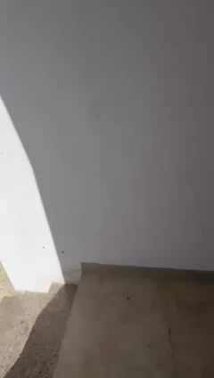 استديو كبير مفروش بالخرطيات