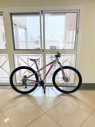 29 Giant Revel MTB