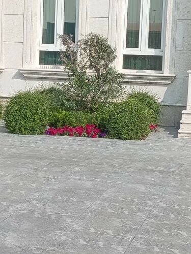 عمل زراعه