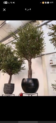 High Quality Artificial Decorations
