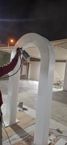Professional Carpenter & Painter