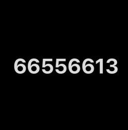 66556613