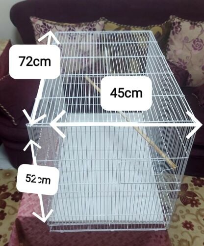 big cage