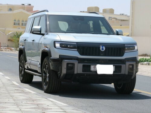 دينزا بي ٨ فلاق شيب اصفار ٢٠٢٧