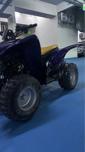 aeon cobra 100cc