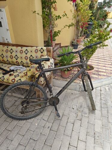 Falcon Mountain bike
