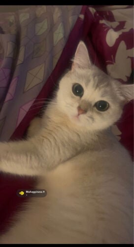 wity 
