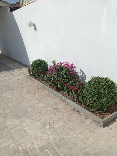 عمل زراعه
