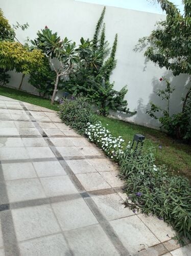 عمل زراعه