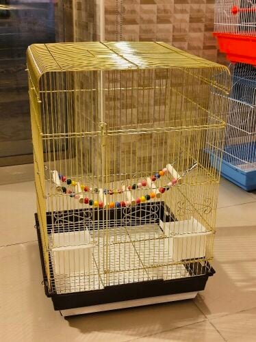 parrot cages new
