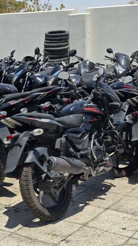Pulsar for Rent Available