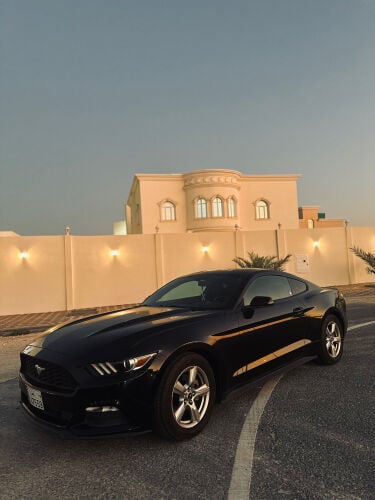 MUSTANG URGENT SALE