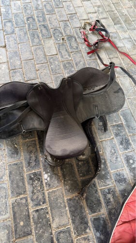 سرج خيل 