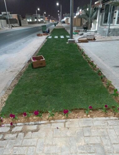 زراعةالعشب الطبيعي وشبكات الري