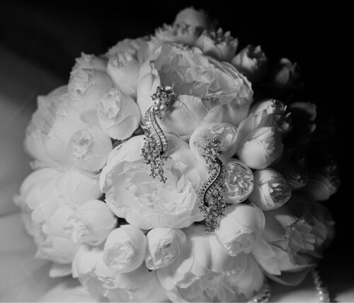 photography 