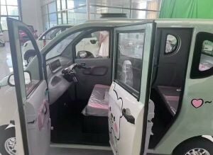 electric car