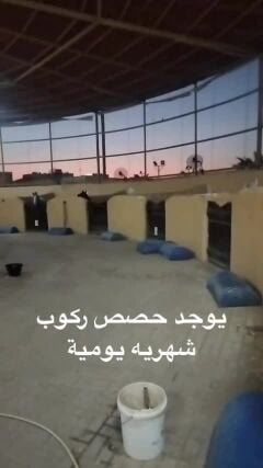 حصص ركوب وإيواء 