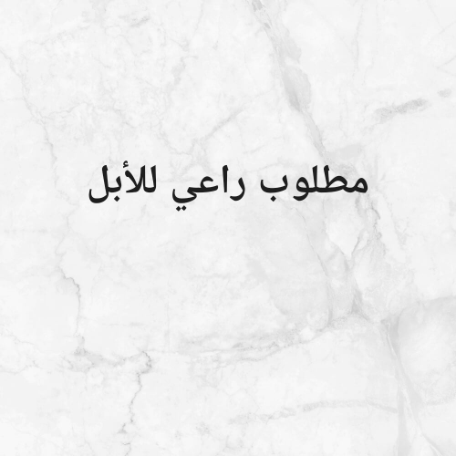 مطلوب راعي خبره رعاية الأبل