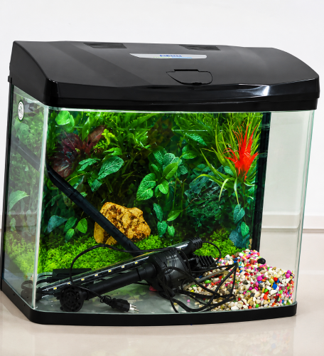 Aquarium for Sale