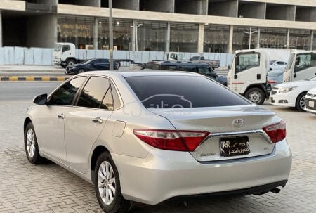 مطلوب