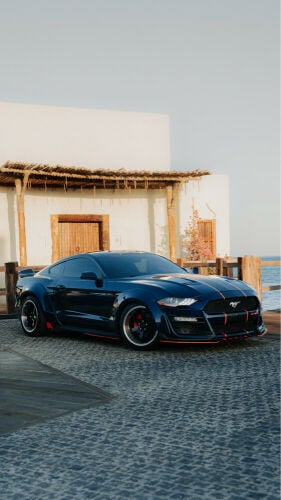 Mustang EcoBoost Widebody 2019