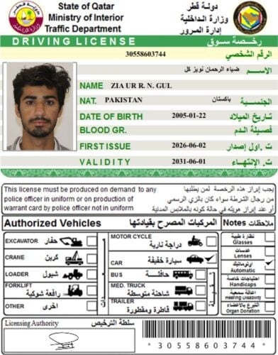 ضیاء