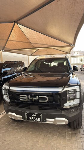 BYD SHARK