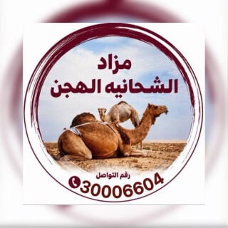 حلال طيب يعرض كل يوم